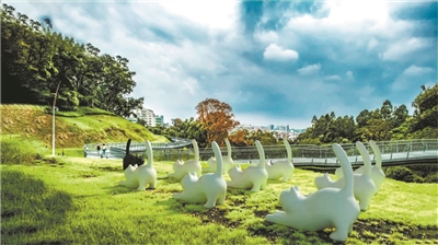 走在云道，看花看展看AR